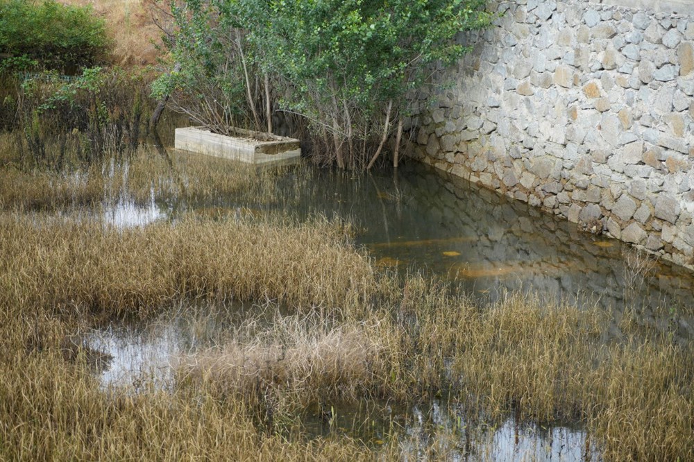 50 mezarlık taşınacak! Ölüler sular içinde kalıyordu, yetkililer harekete geçti - 5