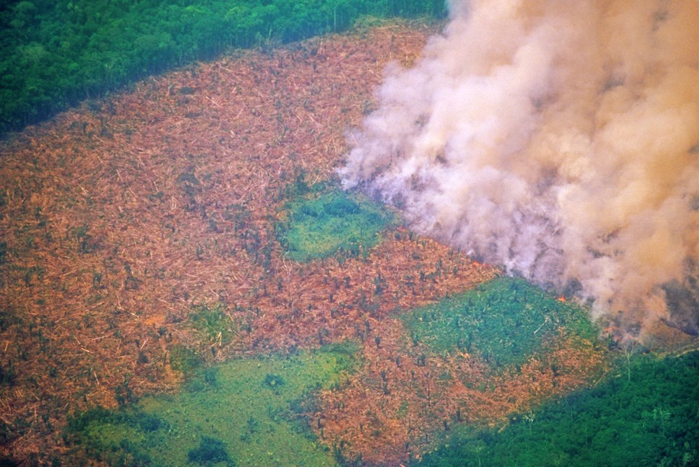Amazon’daki ormansızlaşma bir yılda yüzde 25 arttı - 6