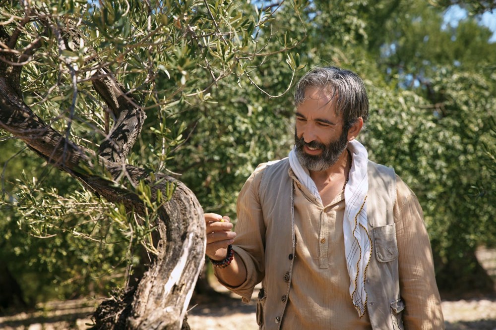 Zeytin Ağacı dizisinden fragman ve yeni fotoğraflar - 8