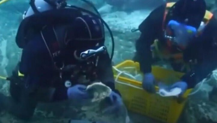 Denizin altında 900 yıllık kayıp hazine keşfedildi