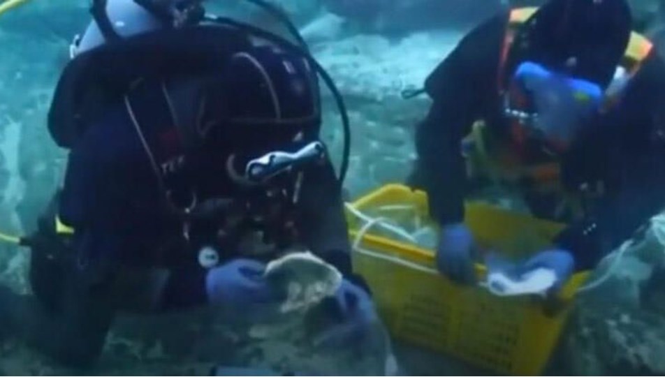 Denizin altında 900 yıllık kayıp hazine keşfedildi