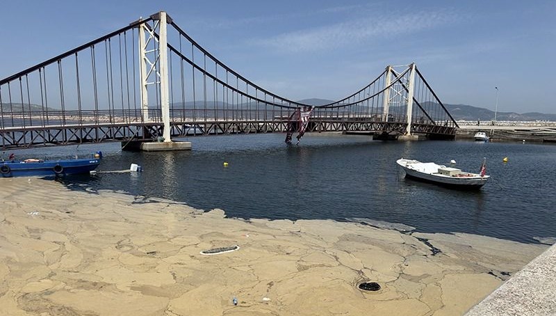 Saros Körfezi müsilajla kaplandı