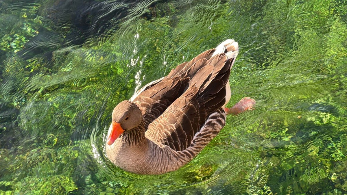 xUJG1R4qDk-ouw09UWuTyw.jpg
