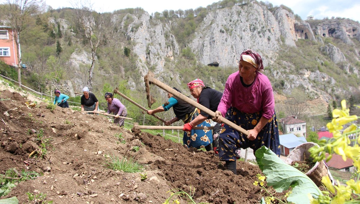 Zorlu mesai başladı: Sırtlarında sepetler, ellerinde kazmalar