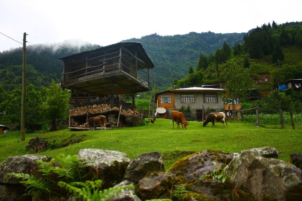 Doğu Karadeniz'in saklı cennetleri (Yayla tatili önerileri) - 6