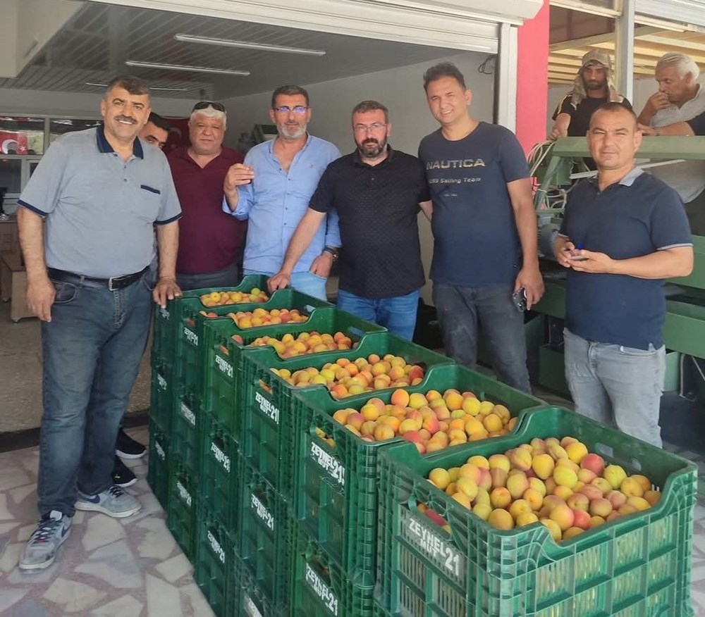 Birinci hasat yapıldı: 500 TL'den alıcı buldu 76 xWzhlp0EkEe