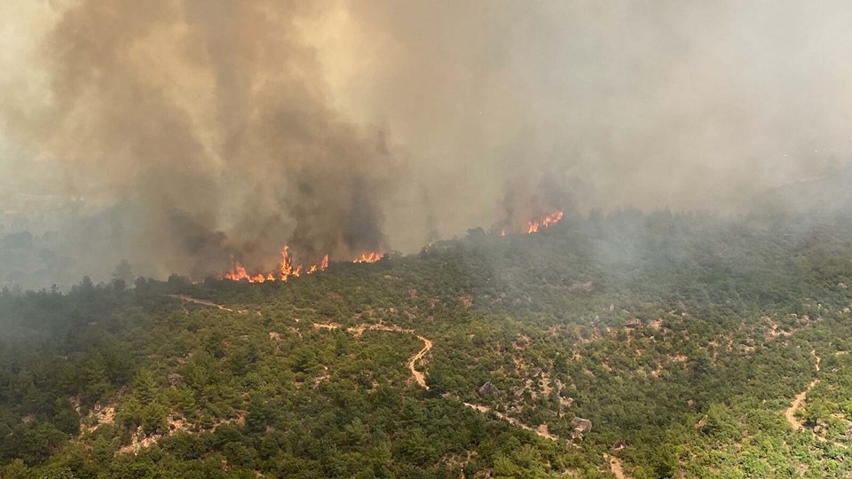 Hava sıcaklığı arttı, valilik uyardı: Orman yangınlarına dikkat - 1