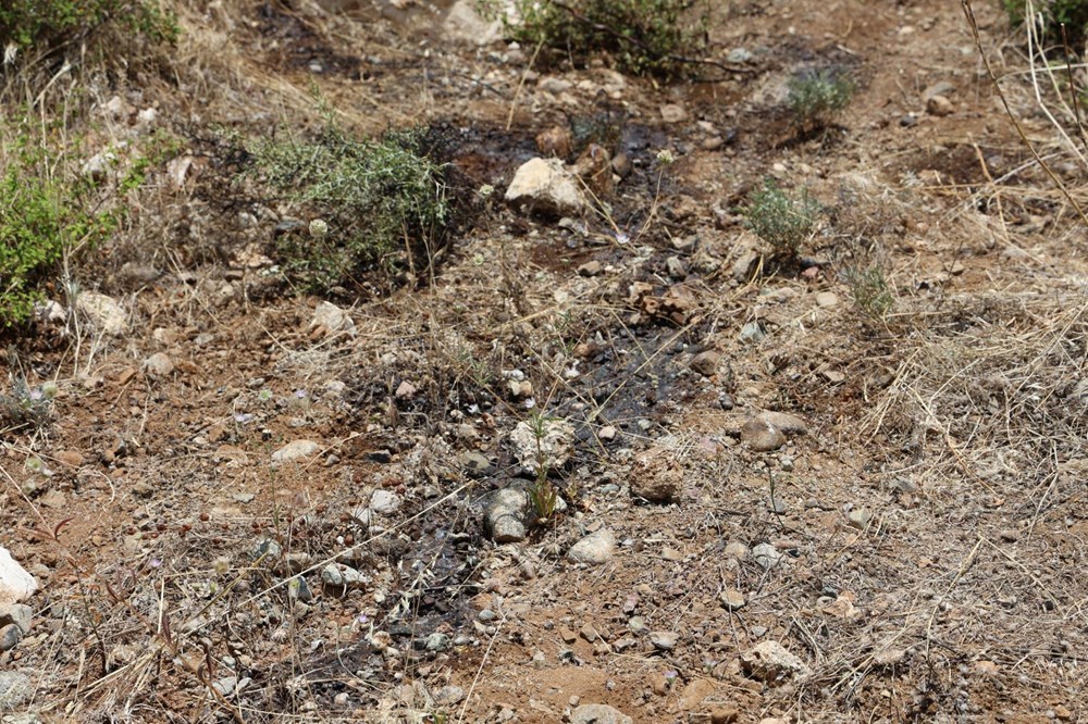 Koku üzerine ortaya çıktı: Şizofreni hastasının sır ölümü - 2