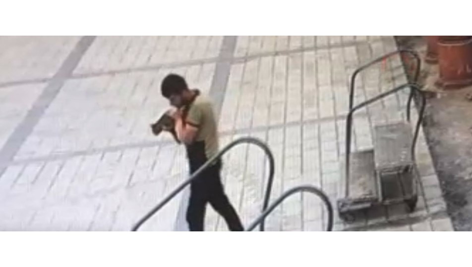 Kediyi denize atan zanlı yakalandı