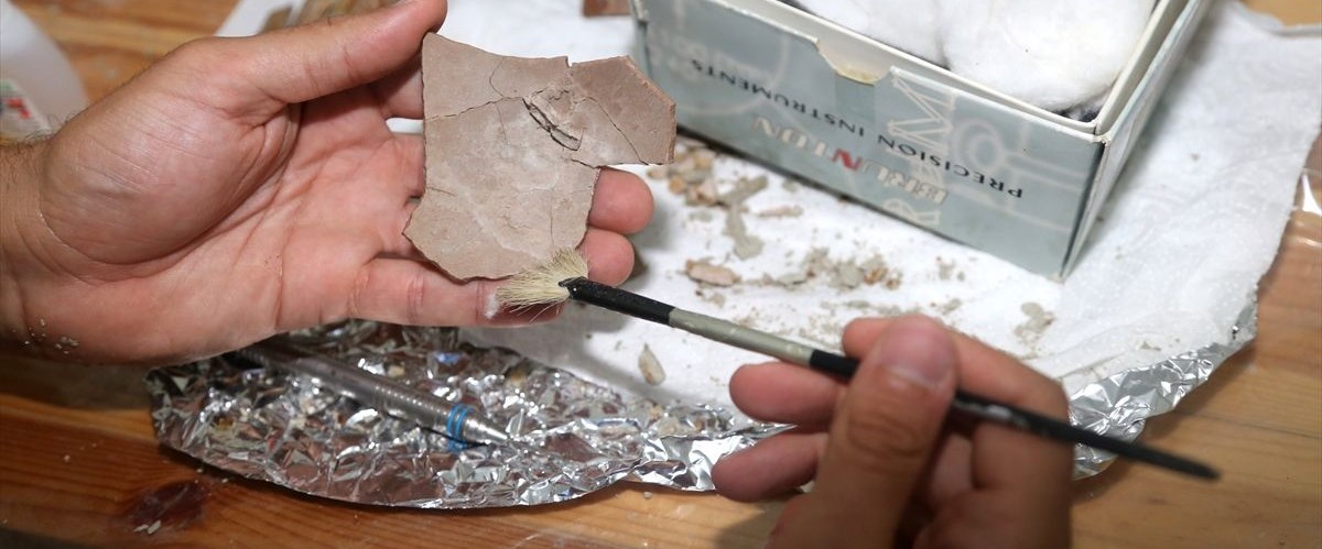 8 5 Milyon Yillik Deve Kusu Yumurtasi Bulundu Ntv