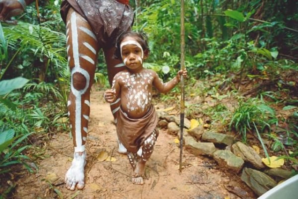 Tarihi anlaşma: Dünyanın en eski tropikal yağmur ormanı Aborijin halkına iade edildi - 4