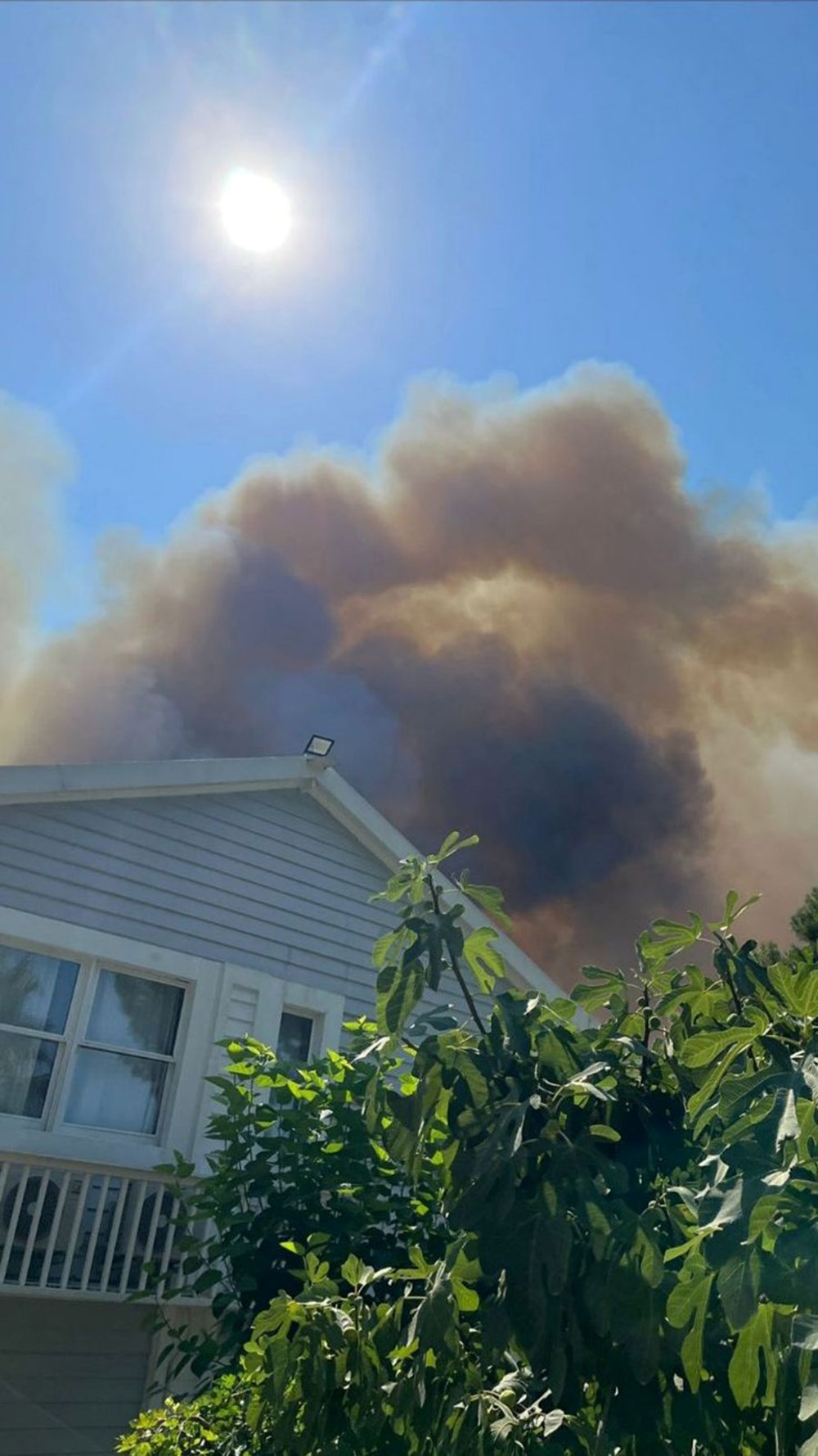 Orman yangınlarıyla mücadele | Bakan Yumaklı: Hava sıcaklıkları 10 derece daha artacak - 8