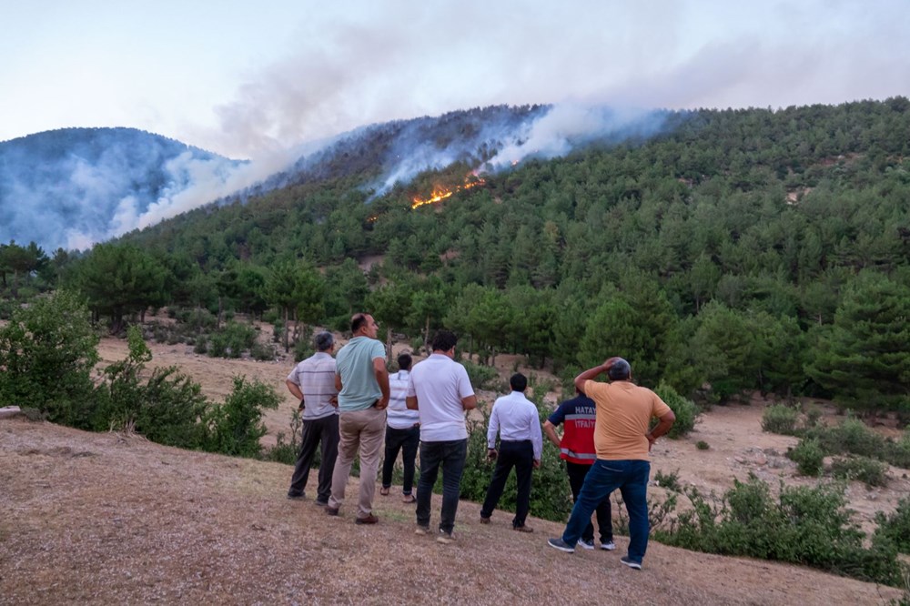 Hatay'da 2 orman yangını - 9