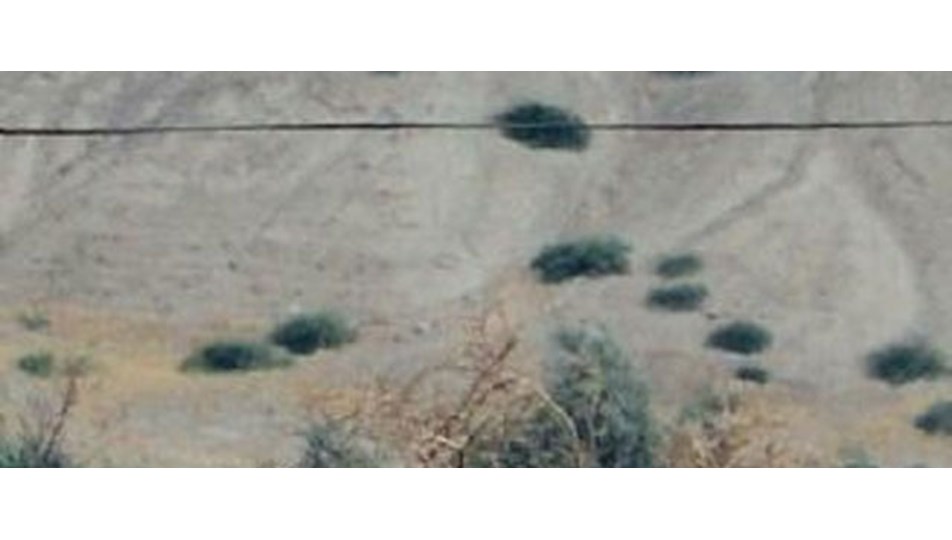 Suriye sınırına PKK bayrağı