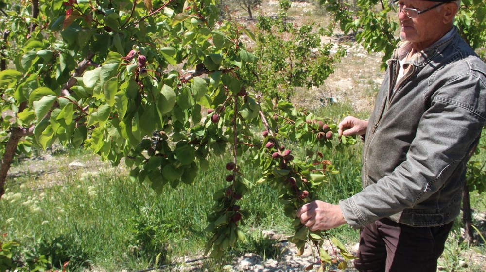 xcuk 0l9Y06GcHzbYNfVUw