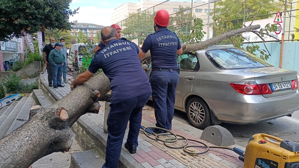 Bakırköy'de ağaç devrildi, dalın çarptığı kadın yaralandı - 1