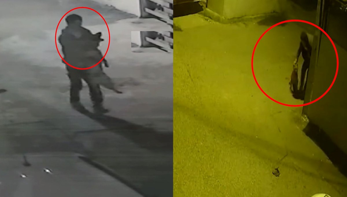 Sokak köpeğine işkence: Havaya kaldırıp boğazını sıktı