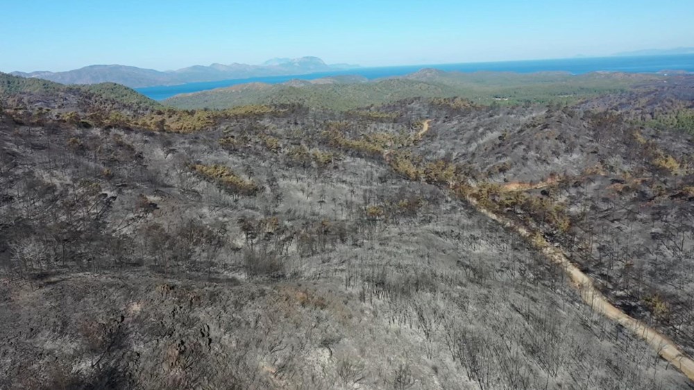 Marmaris'te yanan alanlar yeşillenmeye başladı - 2