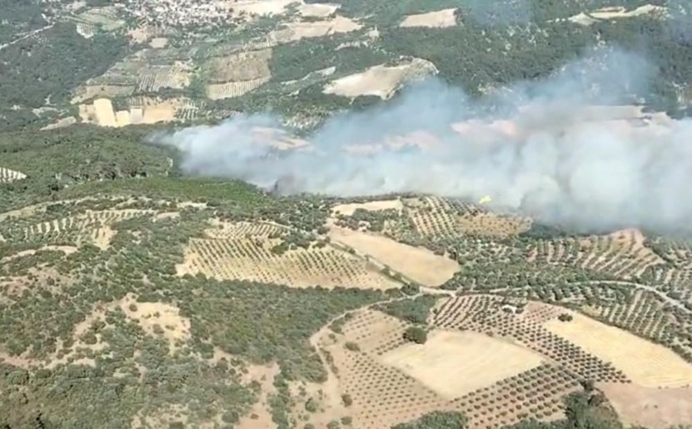 İzmir Bergama'da orman yangını - 4