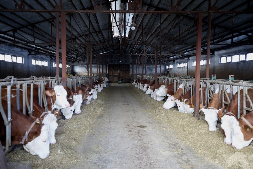 59 yaşında devlet desteğiyle tesis kurdu şimdi fabrikalara satıyor - 1