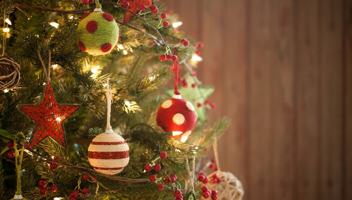 Belçika Gıda Ajansı: Lütfen noel ağacınızı yemeyin Belçika Gıda Ajansı: Lütfen noel ağacınızı yemeyin