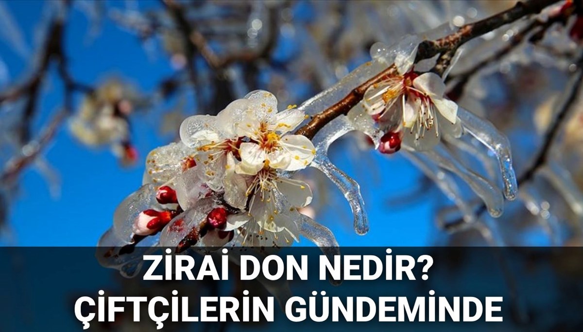 Zirai don nedir, ne demek? Çiftçilerin zararı karşılanacak mı?