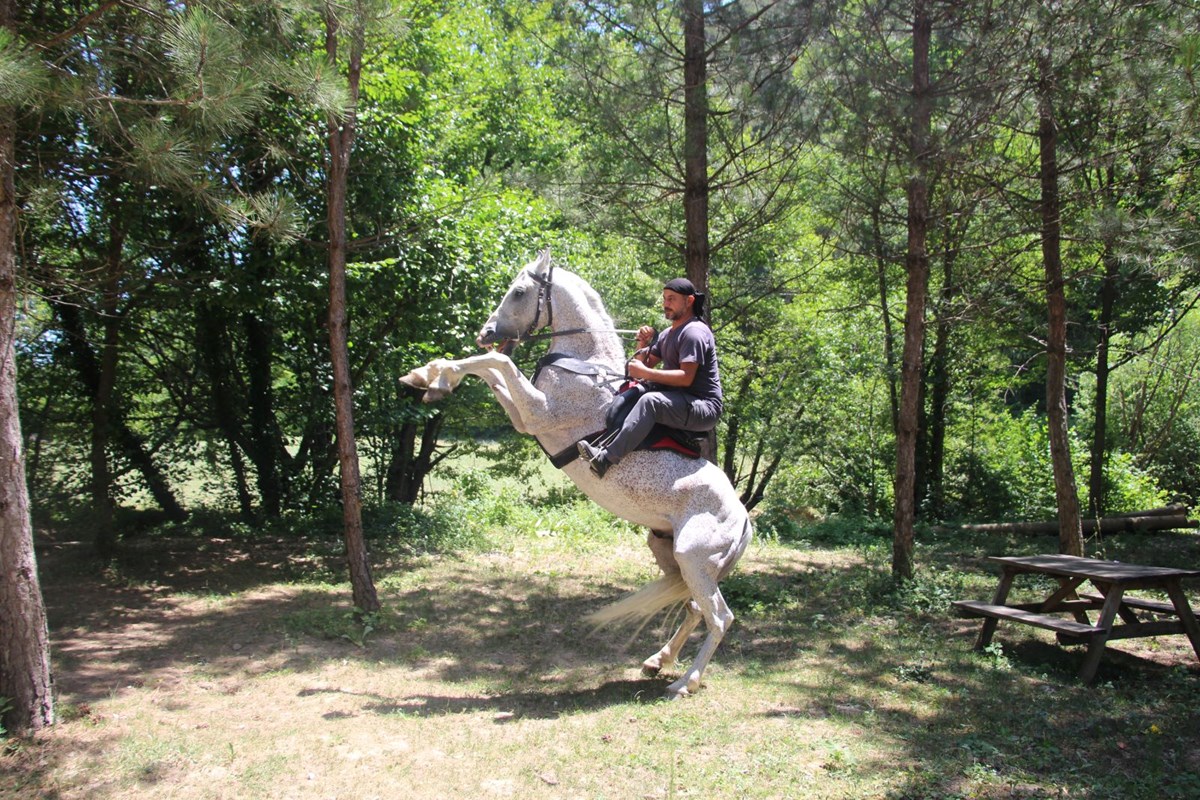 Sosyal medyada ilgi odağı oldu! 