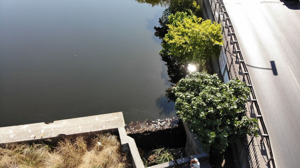 Maltepe'de şüpheli balık ölümleri: ''20 senedir ilk defa görüyorum'' - 3