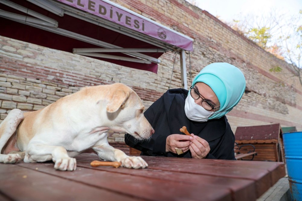 Emine Erdoğan, engelli köpek 'Leblebi'yi sahiplendi | NTV