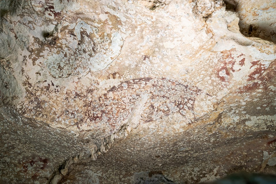Dünyanın en eski mağara sanatı bulundu: 51 bin 200 yaşındaki resim, evrime dair fikirleri değiştirecek! - 1
