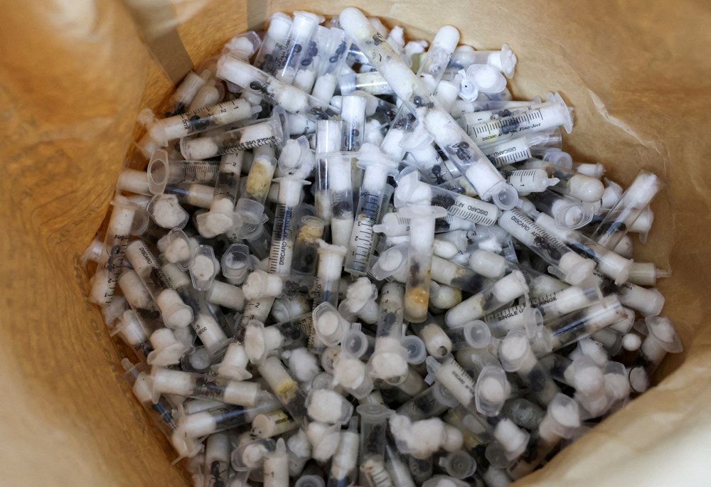 5 bin kraliçe karıncayla yakalanan 4 gence "biyolojik korsanlık" cezası - 5