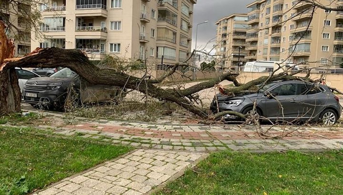 Marmara’da şiddetli fırtına | Kocaeli’de deniz taştı, Bursa, Tekirdağ ve Edirne’de ağaçlar devrildi, çatılar uçtu