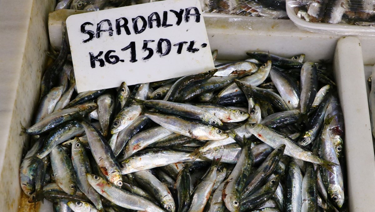 Balık tezgahlarının yeni gözdesi sardalya Balık tezgahlarının yeni gözdesi sardalya