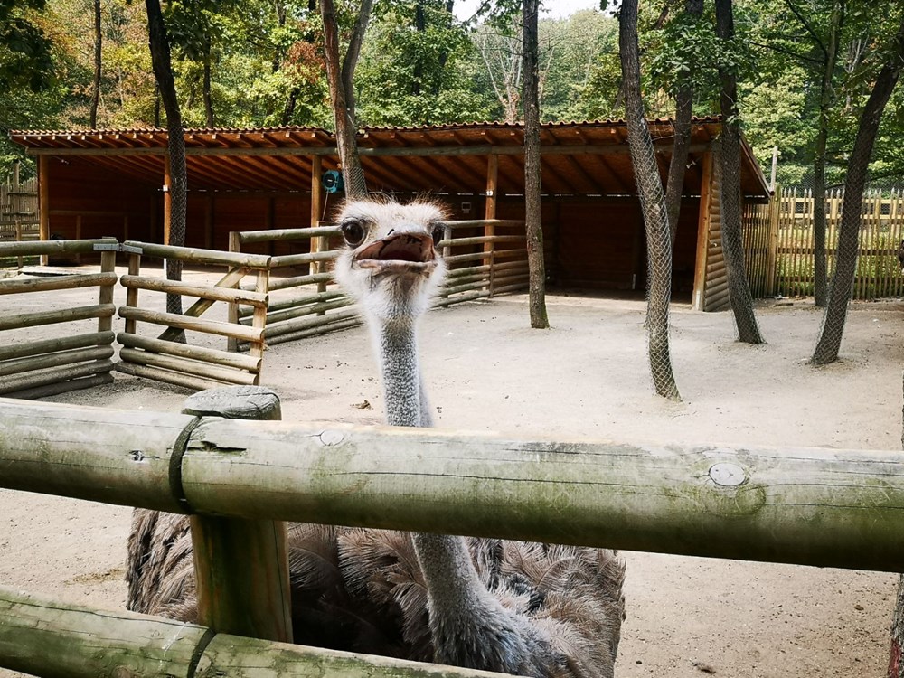 İstanbul çevresindeki en iyi kamp alanları - 13