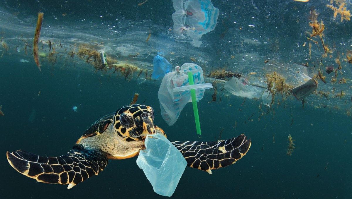 Gıda ambalajları, deniz ve okyanuslardaki plastik kirliliğinin yüzde 75'ini oluşturuyor