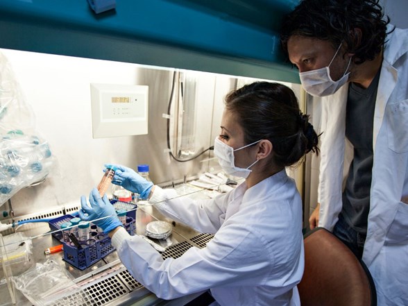 israilli bilim insanlari kanseri tamamen yok edebilecek yeni bir tedavi yontemi gelistirdiklerini acikladi