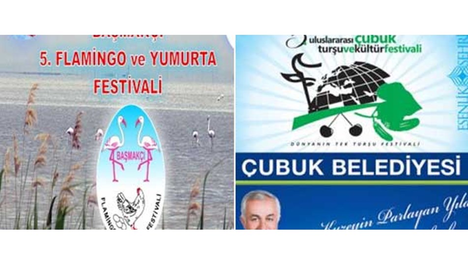 Turşudan flamingoya yılda bin 300 festival