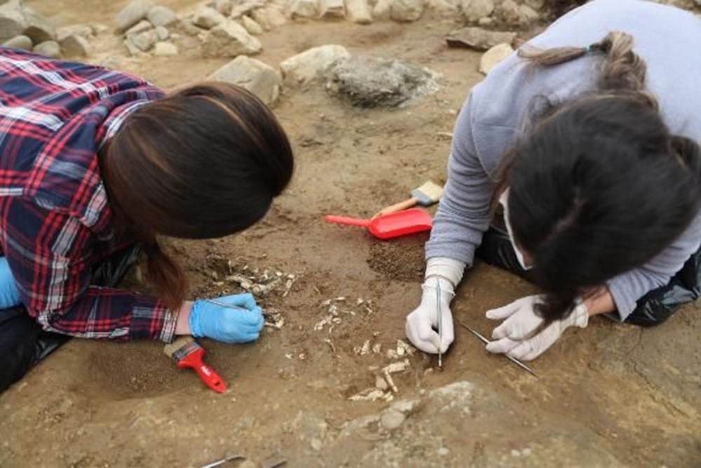 Beşiktaş'a 'arkeoloji üssü' kuruldu: Dünya göç haritasını değiştirebilecek bulgular - 13