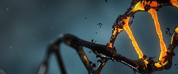 Kanser hücrelerinin DNA'ları 'altının çekim gücüne kapılıyor'