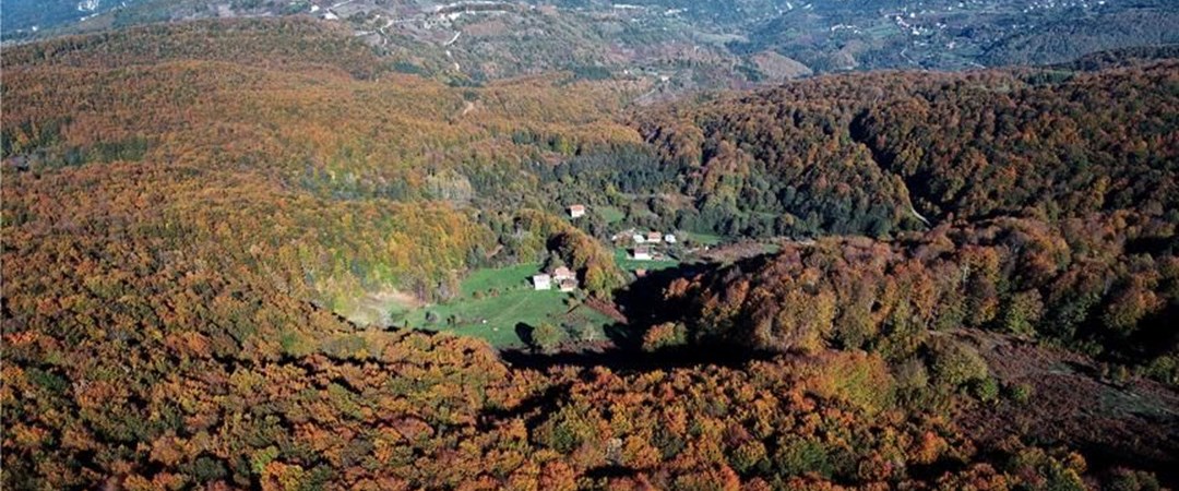 Kastamonu'da sonbahar renklerinin görsel şöleni | NTV