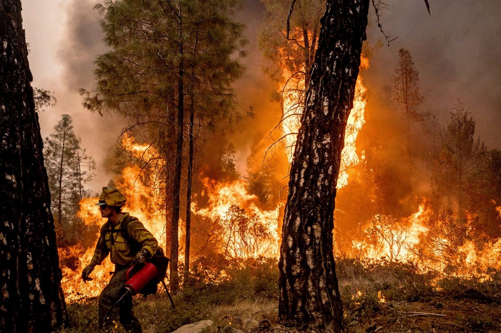 California'da orman yangını: 11 bini aşkın kişi tahliye edildi - 2