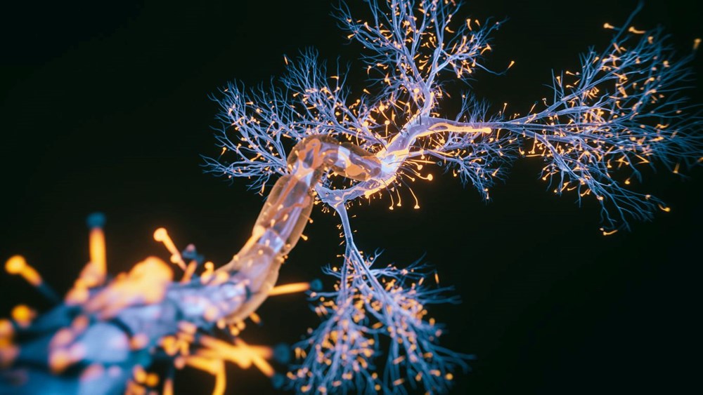 Alzheimer hastaları için gerçek bir tedavi sunan ilk ilaç: Lecanemab nedir? Lecanemab'ın yan etkileri nelerdir? - 2