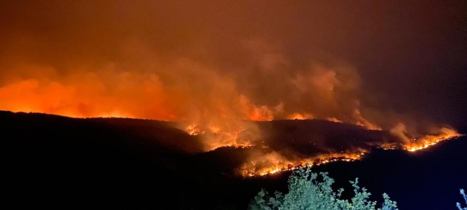 Bulgaristan-Türkiye sınırında yangın sürüyor - 1