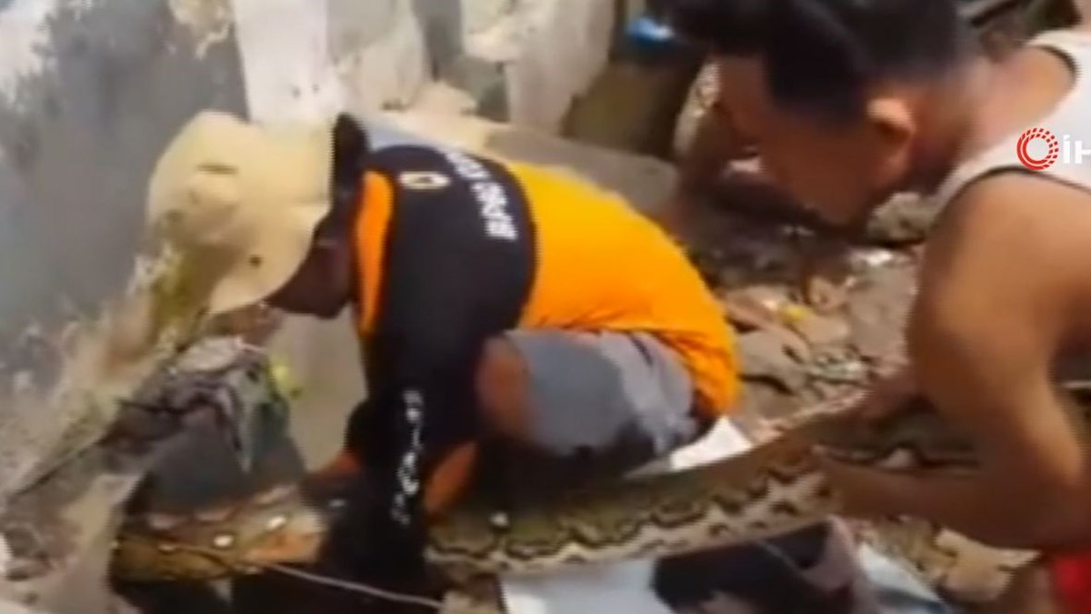 su borusuna gizlenen 10 metrelik yilani elleri ile cikardilar