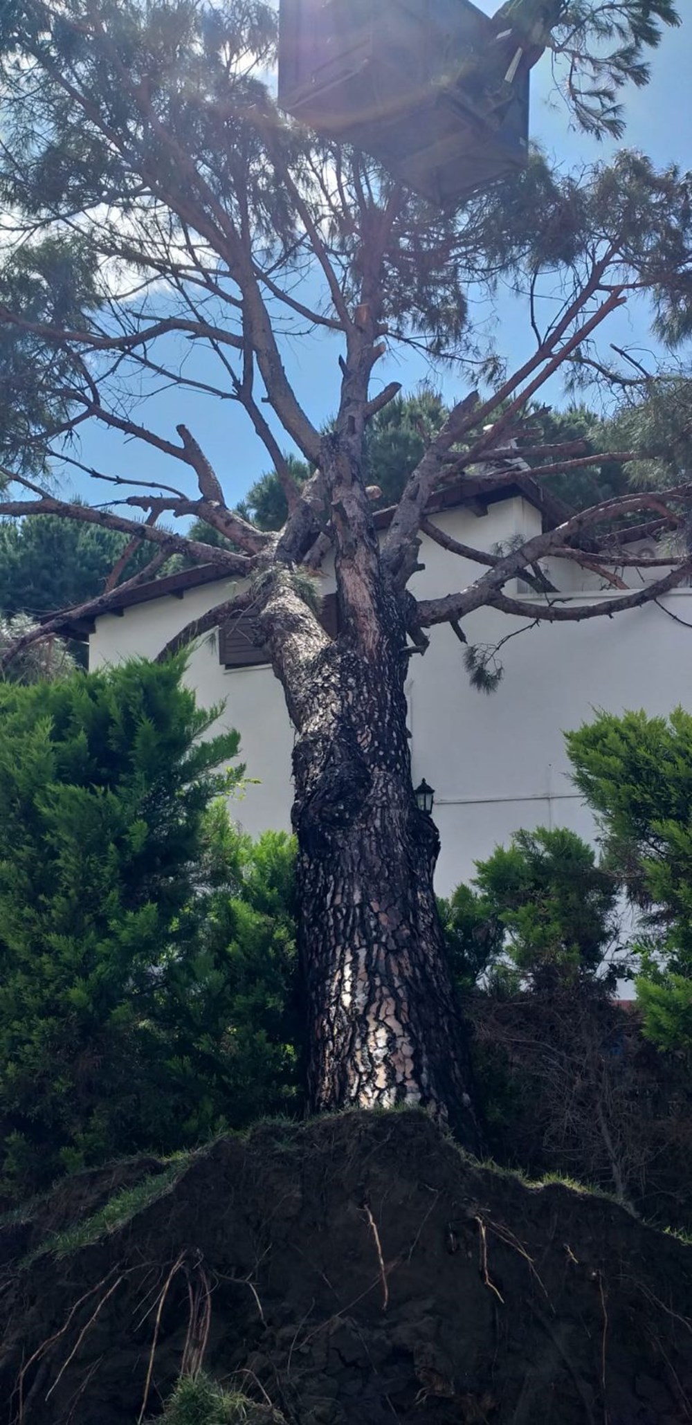 Balıkesir Ayvalık'ta fırtına: 30 tekne battı - 9