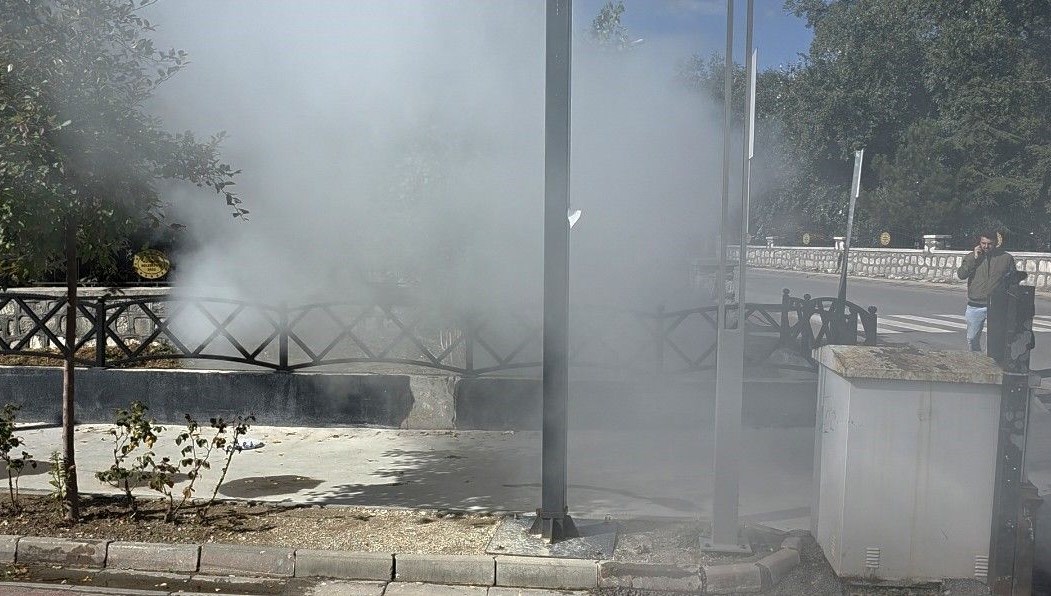 İlaçlama faaliyetini yangın sandılar