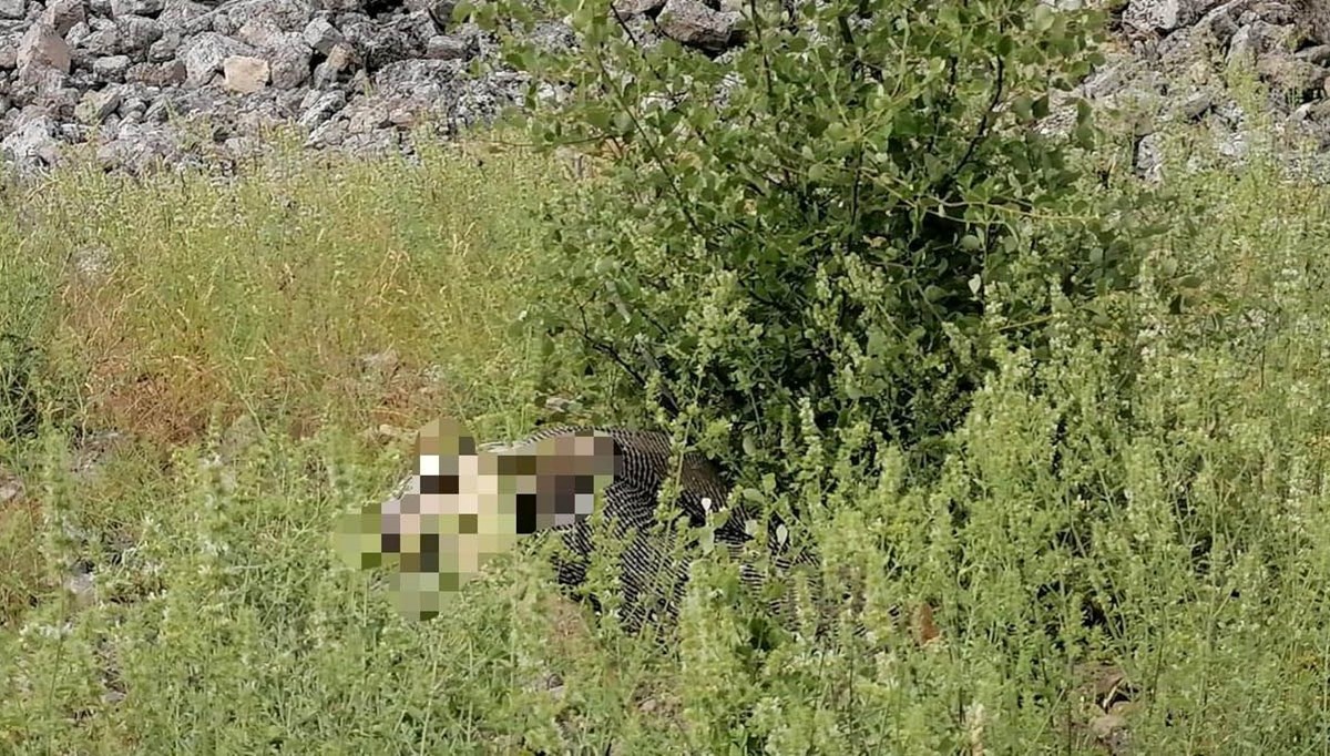 Ot toplamak isterken öldü