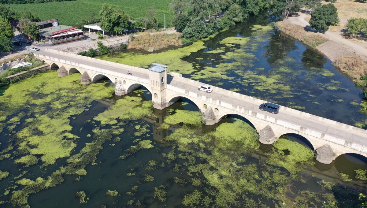 Tunca Nehri yosun tuttu! Tunca Nehri yosun tuttu!