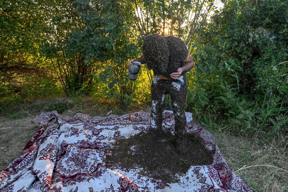 "Arı Adam"ın Guinness Rekorlar Kitabı hayaline ramak kaldı - 6