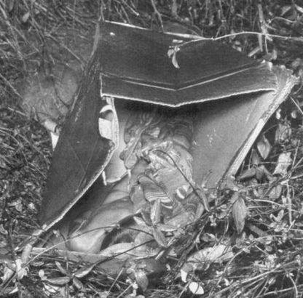 5 yaşındaki çocuğun cesedi 1957 yılında kutu içerisinde bulunmuştu.